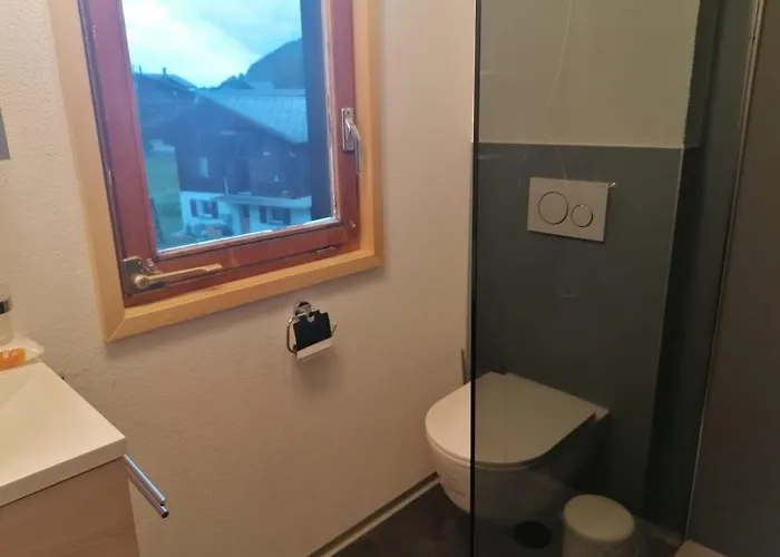 Daire Haus Zur Muehle Reckingen
