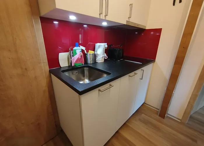 Haus Zur Muehle *